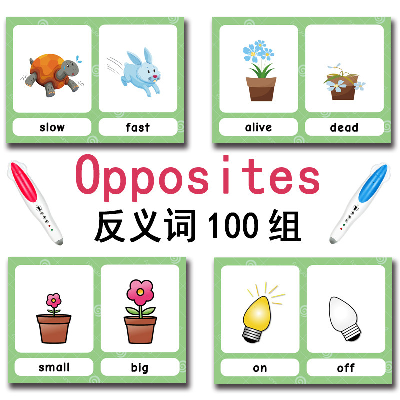 The 100 Groups Opposites Flash - огляд і ціна Kids Toys Variety