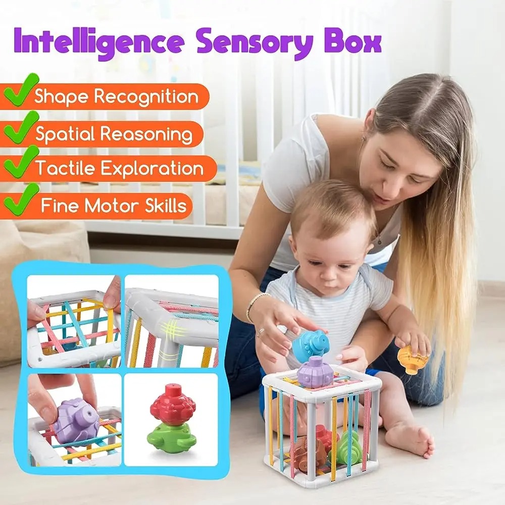 Rainbow Colorful Montessori Sh - огляд і ціна Kids Toys Variety